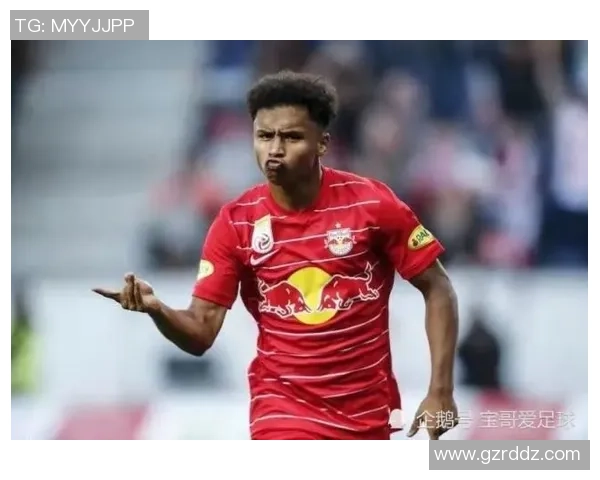 图片报：阿德耶米因不合法持有兵器被检察院判处罚款45万欧